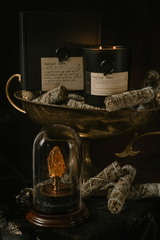 Sage Leaf + Amber