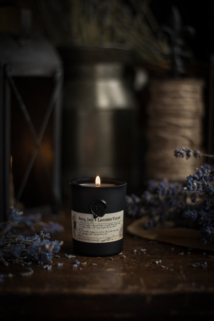 Royal Iris + Lavender Fields