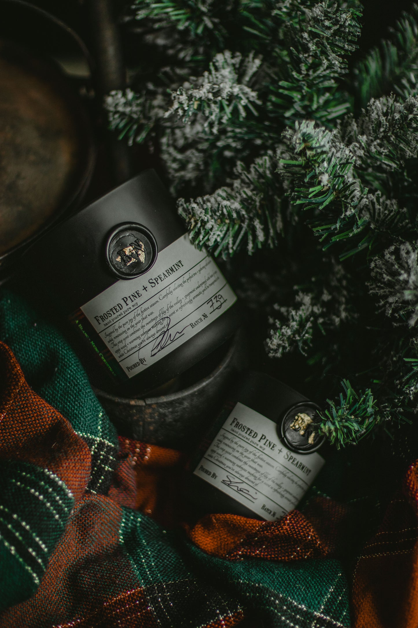 Frosted Pine + Spearmint candle